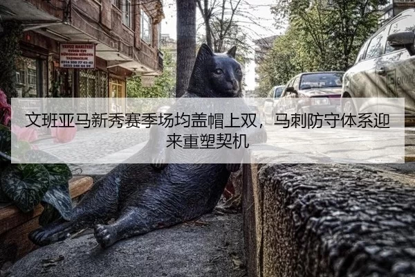 wen-ban-ya-ma-xin-xiu-sai-ji-chang-jun-gai-mao-shang-shuang-ma-ci-fang-shou-ti-xi-ying-lai-zhong-su-qi-ji-2-731.jpg